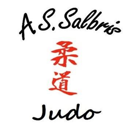 Logo ASS.SALBRIS SPORT