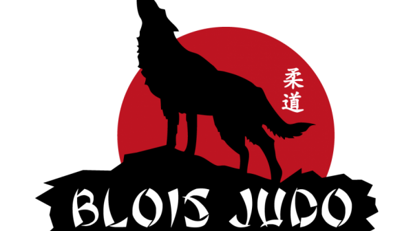 TOURNOI MINIME DU BLOIS JUDO